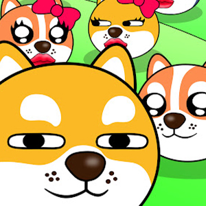 Doge Love Collect